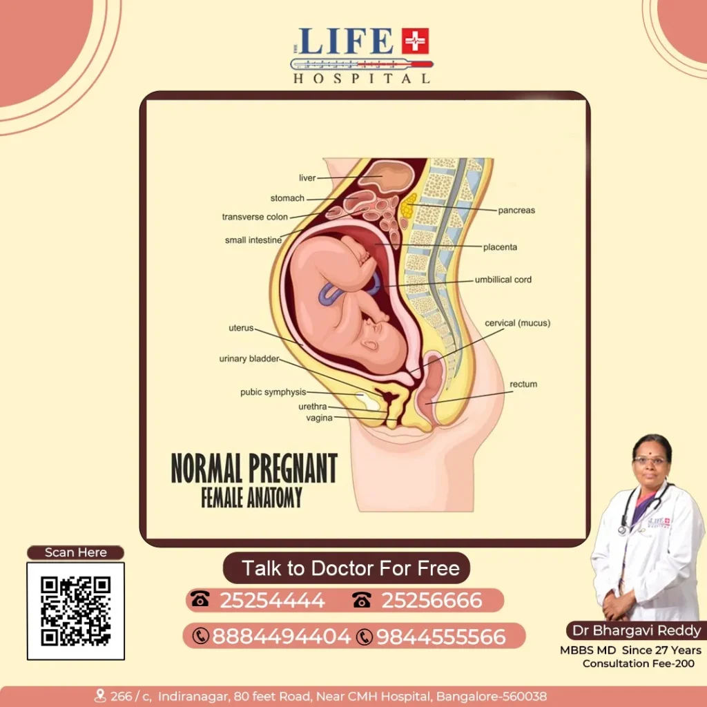 Graphics Designing Services For Healthcare 13 IMG-20240506-WA0037